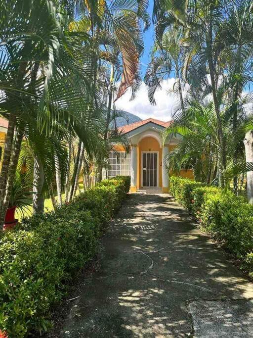 Villa De Ali In Palma Real La Ceiba Zewnętrze zdjęcie